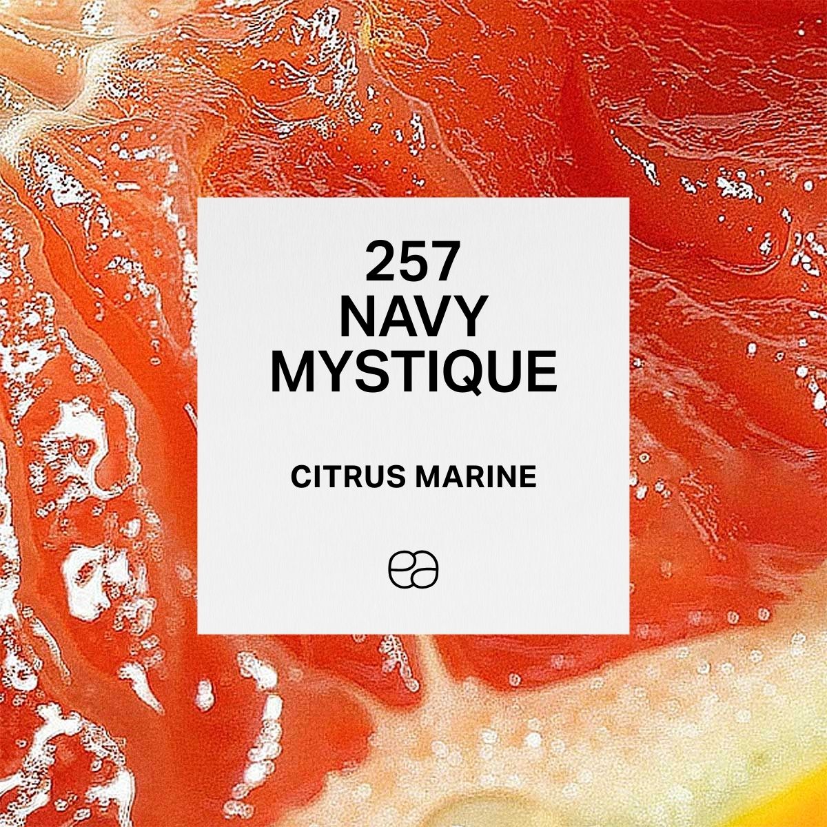 Navy Mystique
