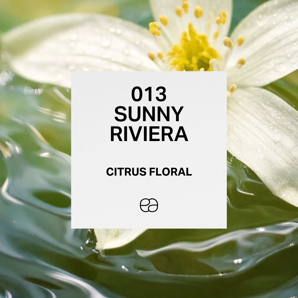 Sunny Riviera